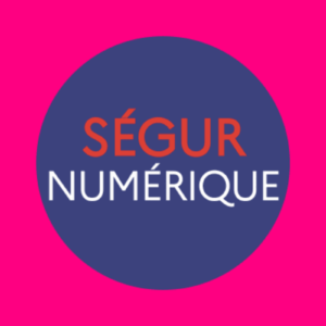 Logo Ségur Numérique